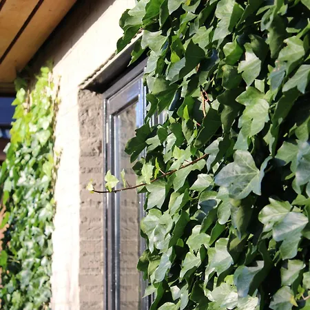 Penzion Tiny House In De Boomgaard
