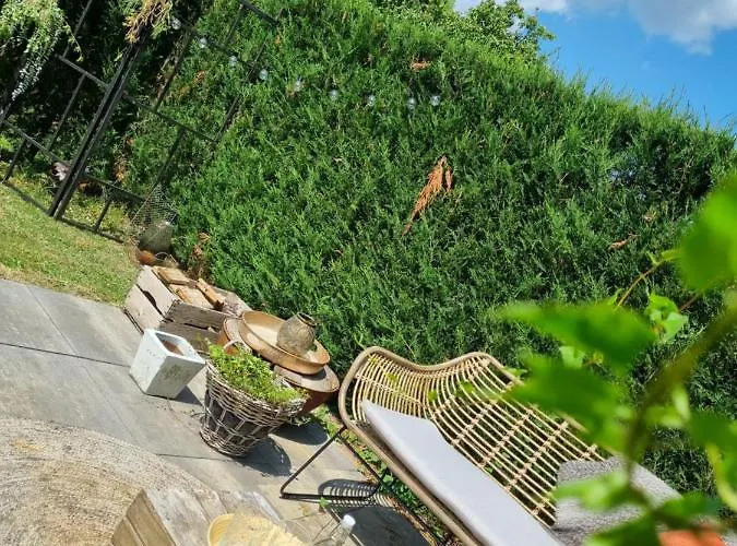 Tiny House In De Boomgaard בית הארחה Stad aan 't Haringvliet