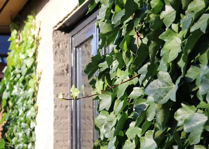 בית הארחה Tiny House In De Boomgaard