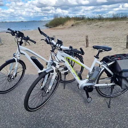 Tiny House In De Boomgaard Affittacamere